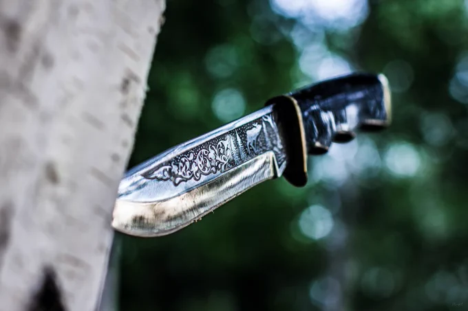 knife plunged into a tree