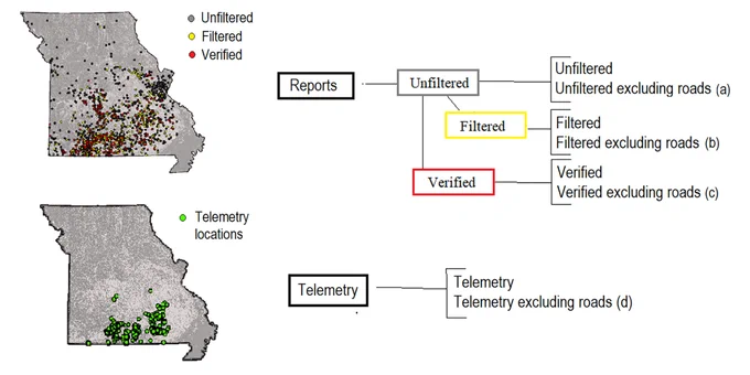American black bear public reports and telemetry locations used to develop species distribution models, in Missouri (USA). Unfiltered reports include all reports (n = 1384), filtered reports represent locations with reliable evidence (n = 614), verified reports were confirmed by Missouri Department of Conservation staff (n = 284). The telemetry model used data from 100 individual bears during 2010–2018