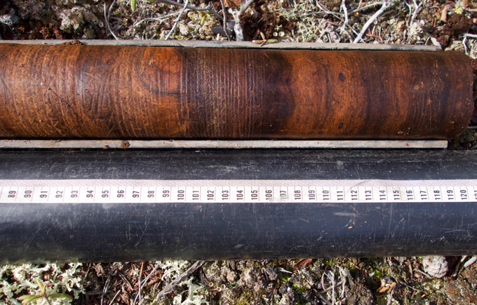 Image of a permafrost peat core with a tape measure for scale.