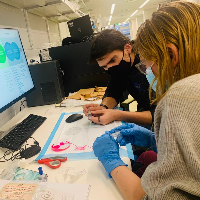 two BME students work in front of a computer monitor with a small prototype in front of them.