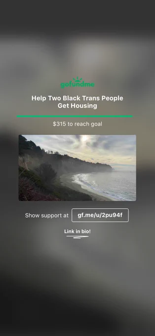 A GoFundMe made flyer. The title is help two black trans people get housing. Their is 315 left to the goal and the link is at the bottom