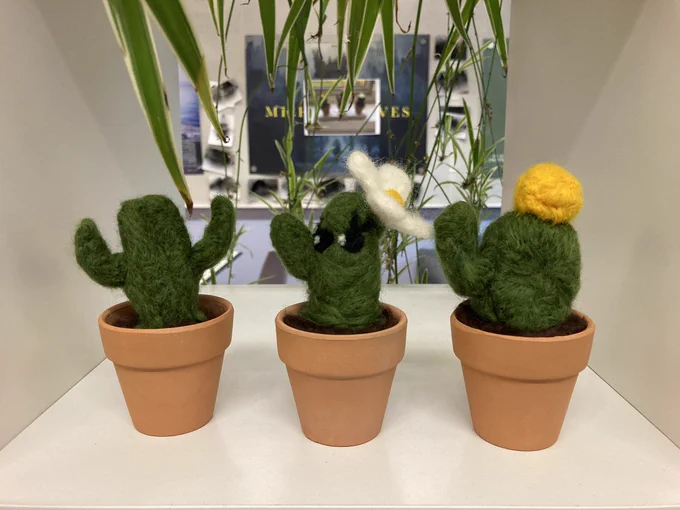 Three small needle felted cacti sticking out of small terracotta pots. They are lined up in a row. Each cactus is green and has brown wool in the base of the pot to represent the soil. They are placed in a white cubbyhole and have real plants dangling around them. The cactus on the left has two arms coming out either side. The cactus in the middle has a flower hat and two eyes with white pupils and eyelashes. The right cactus has on arm coming out the left and a yellow flower on top.