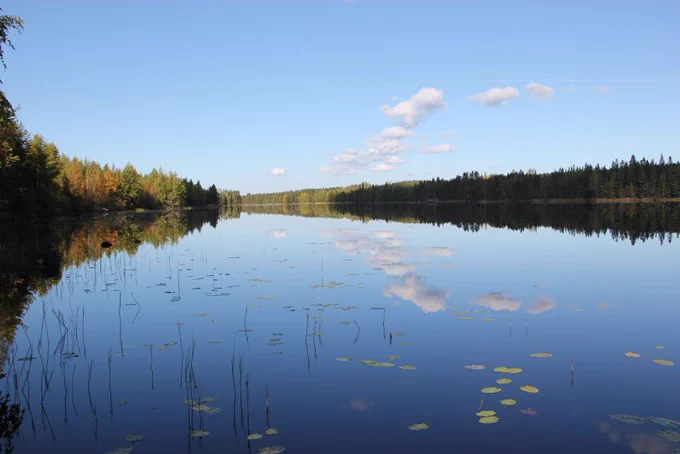 Laserkeilaus onnistuu nyt veden alla. Kuva: Pixabay.