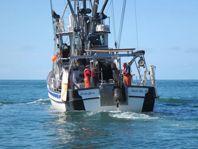 USGS scientists Sarah Schoen, Mayumi Arimitsu, and Brielle Heflin pulling in a modified herring trawl on the R/V Alaskan Gyre in Prince William Sound, Alaska.