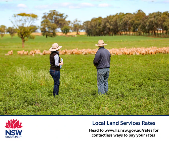 Woman and Man both wearing wide brim hats are standing in a green paddock, looking out over a flock of sheep. 
Local Land Services Rates 
Head to www.lls.nsw.gov.au/rates for contactless ways to pay your rates. 