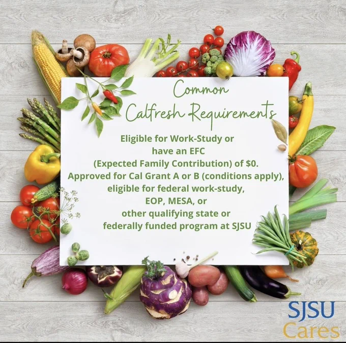 Common CalFresh Requirements online