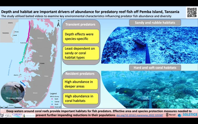 A graphic summarising the results of a study published in Marine Environmental Research, titled Depth and habitat are important drivers of abundance for predatory reef fish off Pemba Island, Tanzania.
