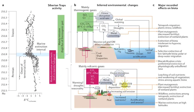 Summary of the volcanically triggered extinction mechanisms inferred from the geochemical, sedimentary and palaeontological record of the Permian–Triassic mass extinction (PTME) and their recorded effects on biota. a | The δ13Ccarbonate record across the Permian–Triassic boundary, highlighting the shift to more negative values during the marine extinction interval. b | The inferred environmental changes during the marine extinction interval. c | The inferred environmental changes during the terrestrial extinction. The initial mainly extrusive–pyroclastic volcanic phase is coeval with the initial terrestrial crisis, whilst the onset of intrusive volcanism is coeval with the marine extinction interval. The different volcanic styles injected greenhouse gases, halogens and metals (only the most relevant volcanic and volcanogenic gases are represented in parts b and c in the end Permian–earliest Triassic atmosphere–land–ocean system. These emissions triggered a cascade of environmental dist