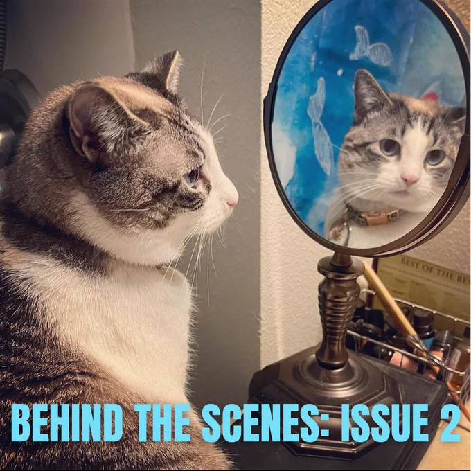 Gray and white cat, with blue eyes, wearing a collar, staring at herself in a small round mirror.