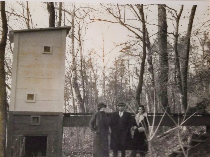Three well-dressed people, from left to right, woman, man, woman, fashionably dressed in warm 1930s-era clothing, pose next to a wooden streamgage located in a forest. (The river is not visible in this photo).