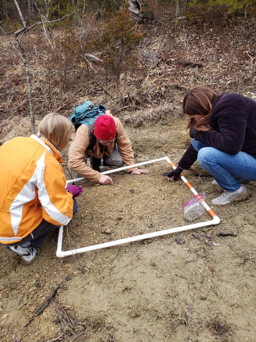 quadrat sampling for fossils at the same locality