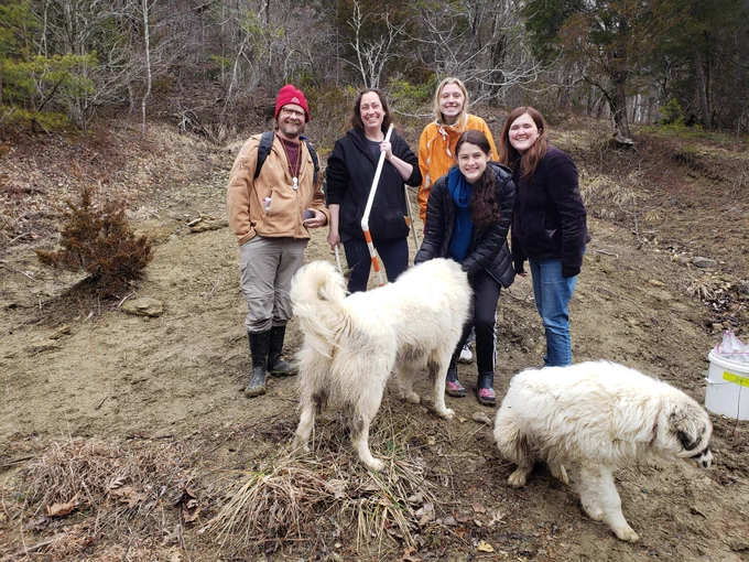 surprise dogs crashing our group picture