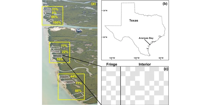 Study sites were located a) in Harbor Island, in three blocks; percent values indicate maintained mangrove cover in each plot. The image was taken in 2013 shortly after the study began. The 42 × 24 m study plots were located b) in the Gulf of Mexico, near Aransas Bay, Texas, United States. c) Schematic of a representative plot depicting mangrove (gray) and marsh (no shading) patches (3 × 3 m).