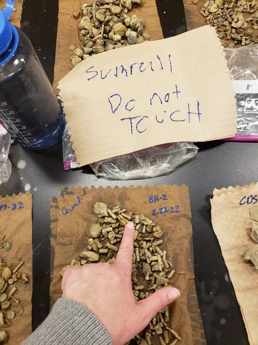 me touching a pile of a fossils next to a sign reading "Sumrall do not touch"