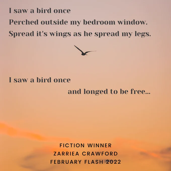 I saw a bird once perched outside my bedroom window spread its wings as he spread my legs. I saw a bird once and longed to be free. Words set over sunset picture of a bird in flight.