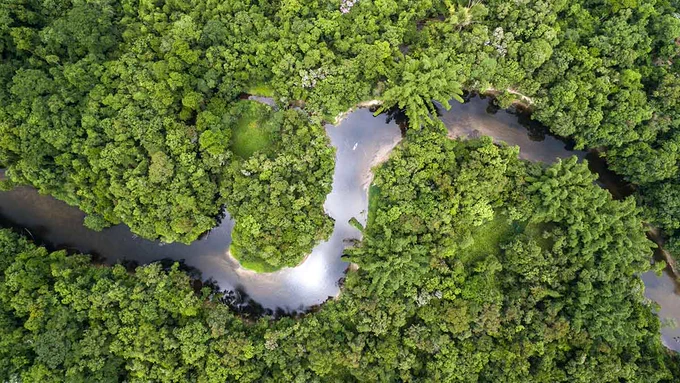 An aerial view of rainforest in Brazil.