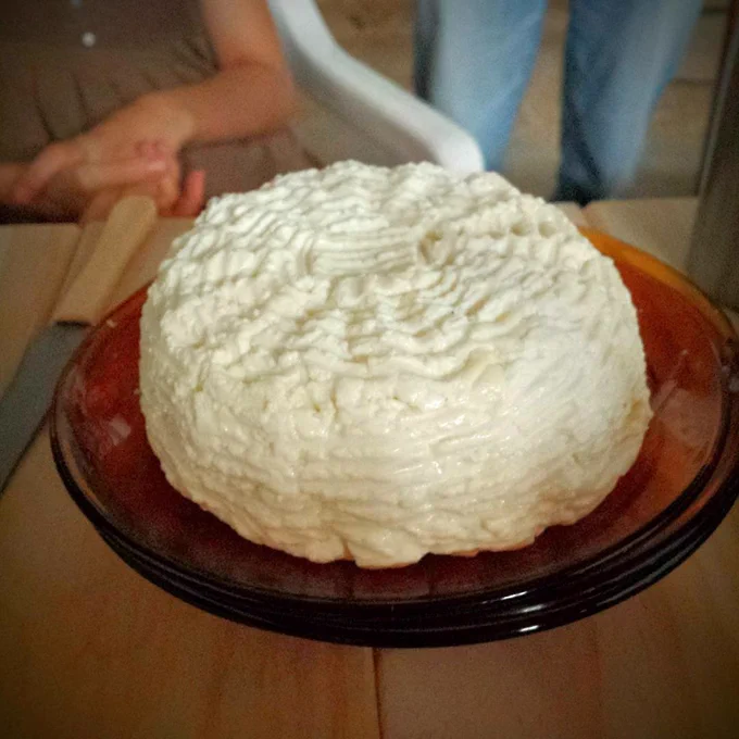 Queso de cabra hecho con leche recién ordeñada, sobre platos de duralex.