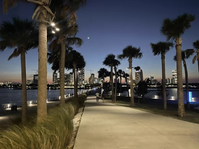 Palm trees lining a pier, with the st Pete skyline in the horizon