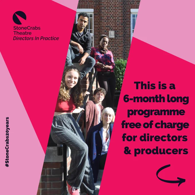 A light pink background with a dark pink spotlight shining from the upper left. Slightly diagonally from the bottom left corner is a slice of a photo of a group of young adults smiling at the camera outside in the sun. Dark indigo text on the left reads: "This is a 6-month long programme free of charge for directors & producers." An arrow below this points right. Along the left side of the image is the hashtag #StoneCrabs20years.