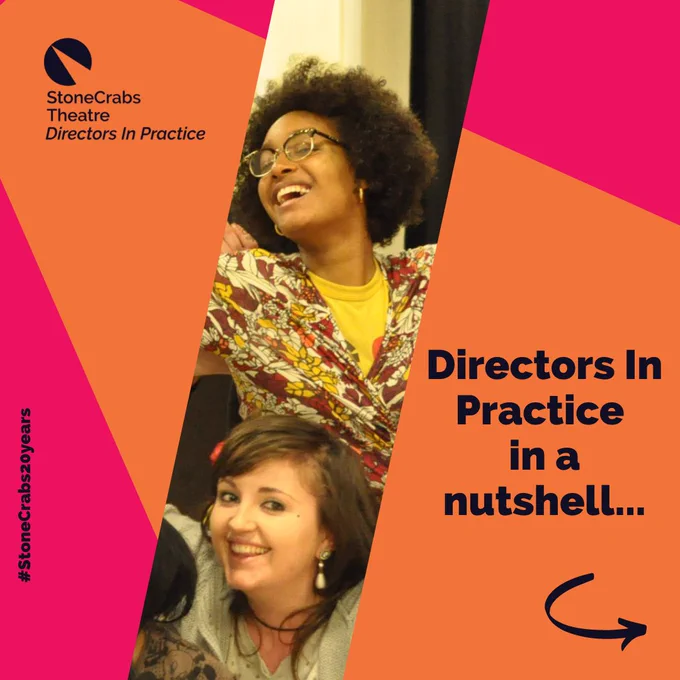 A dark pink background with an orange spotlight shining from the upper left. Slightly diagonally from the bottom left corner is a slice of a photo of two young adults smiling at the camera mid-rehearsal. Dark indigo text on the left reads: "Directors In Practice in a nutshell..." An arrow below this points right. Along the left side of the image is the hashtag #StoneCrabs20years.