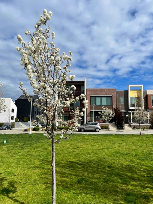 Great looking apartments in sac