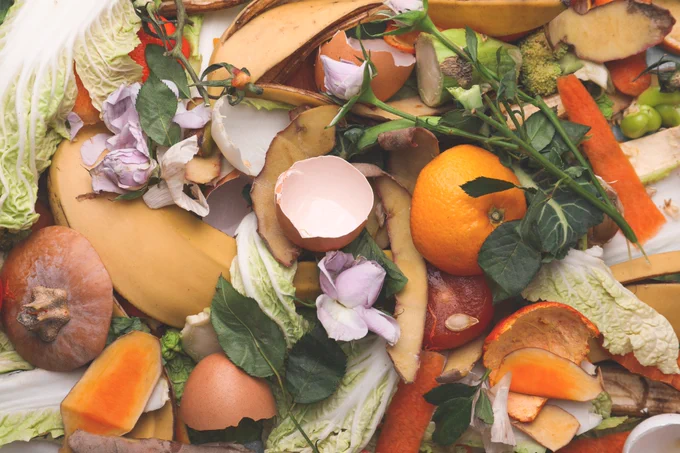Reducing food waste to tackle climate change