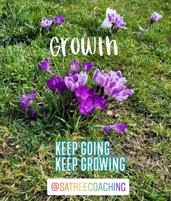 Spring colourful Flowers growing. Growth Mindset. Life Coach SaTree Coaching
