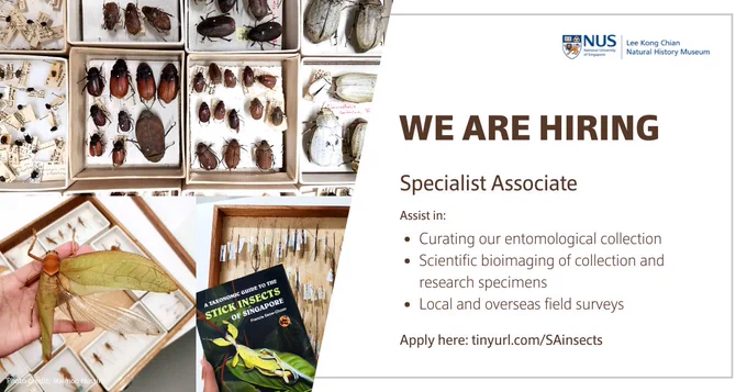 Specialist Associate job posting poster with a range of specimens. Photo credits: Maimon Hussin