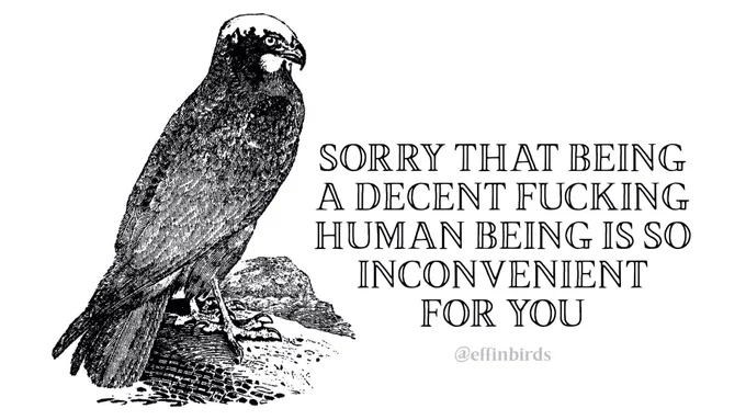 A woodcut of a moor buzzard beside the text "SORRY THAT BEING A DECENT FUCKING HUMAN BEING IS SO INCONVENIENT FOR YOU".