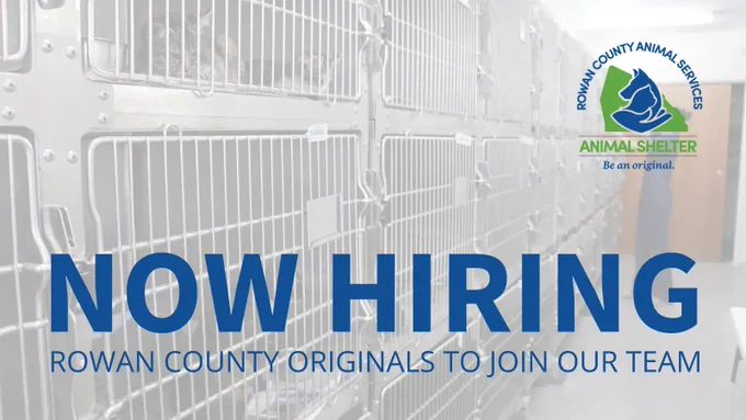 Metal cages with cats and a woman in scrubs opening a cage. Text: Now Hiring Rowan County Originals to Join Our Team.