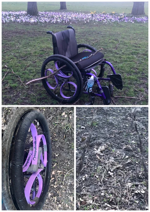 Three photos. The first photo is of my wheelchair in front of flowers and trees with a long tree branch sticking between the wheels. The second photo is of the wheels in the mud. The third photo is of the tire tracks in the mud.