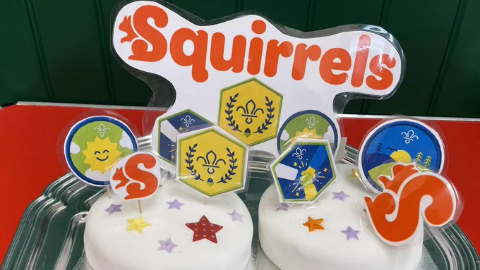 Celebration cake for Squirrel Scouts