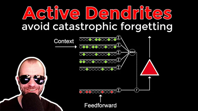 Active Dendrites
avoid catastrophic forgetting