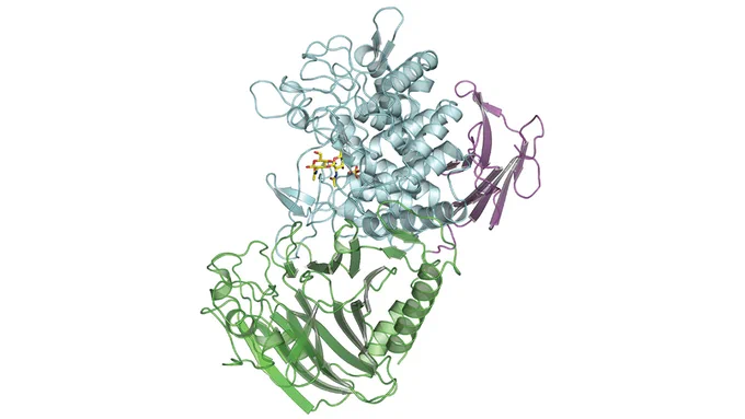 Scientific rendering of a bacterial enzyme crystal structure