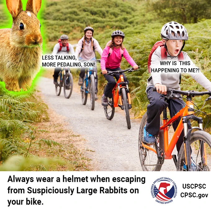 A family on bikes being chased by a giant rabbit. The son says, Why is this happening to me?! His dad replies, Less talking more pedaling, son! The text reads: Always wear a helmet when escapting from suspiciously large rabbits on your bike.