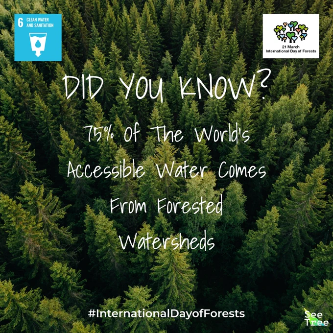 Did you know? 75% Of the world’s accessible water comes from forested watersheds