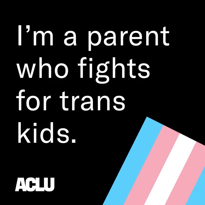 Black backround with white text. There is a trans flag in the corner of the image.

Text reads "I'm a parent who fights for trans kids."

