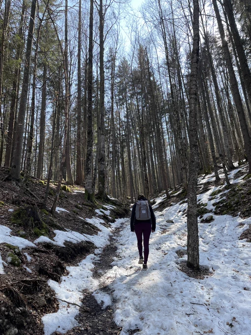 A person walking up a snowy path in the woods