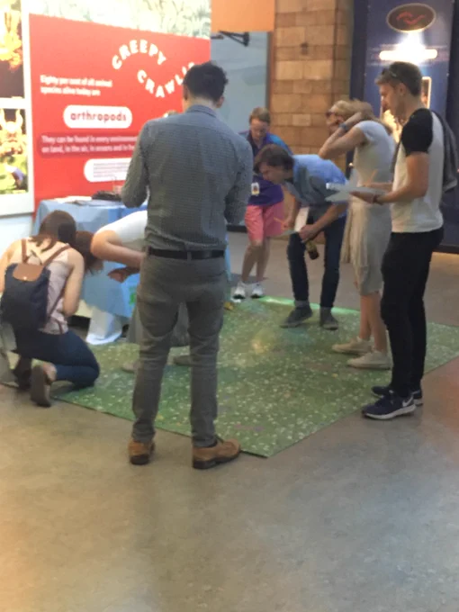 Photograph of a group of adults seeing what they can spot on our Biodiversity Mat. Quite a friendly rivalry evolved!