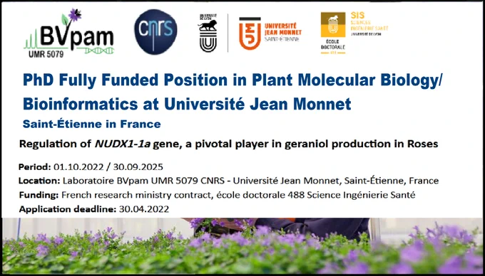 📌 PhD Fully Funded Position in Plant Molecular Biology/Bioinformatics🌱🧬 at Université Jean Monnet, Saint-Étienne in France🇫🇷... Please share and spread the word! For details visit the link below👉 https://wp.me/pbv48T-2mw