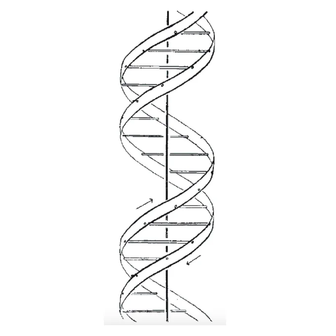 DNA double helix