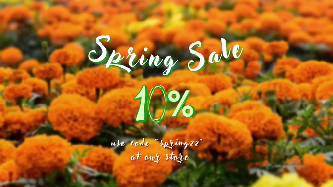 coldzero_international spring sale pcmodding