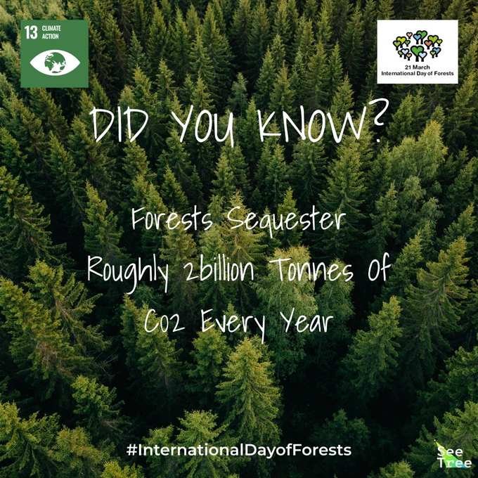 Did you know? Forests sequester roughly 2billion tonnes of co2 every year