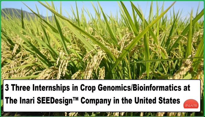 📌 3 Three Internships in Crop Genomics/Bioinformatics🌱🧬 at the Inari SEEDesign™ Company in the United States🇺🇸... Please share and spread the word! For details visit the link below👉 https://wp.me/pbv48T-2mG