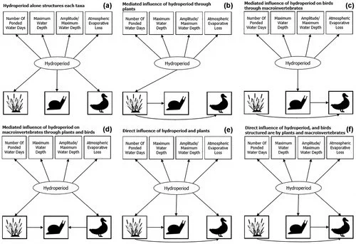Six candidate structural equation models to evaluate the relative influence of biological interactions and hydroperiod on community congruence