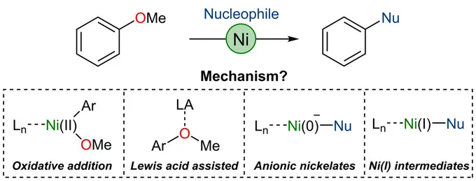 TOC graphic for a review paper on the mechanisms of Ni-catalysed hydrogenolysis and cross-coupling of aryl ethers.
