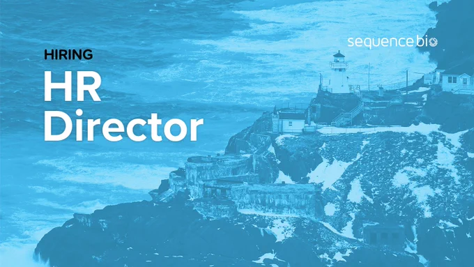 Text reading Hiring HR Director, set over a bluewashed photo of a rugged shoreline
