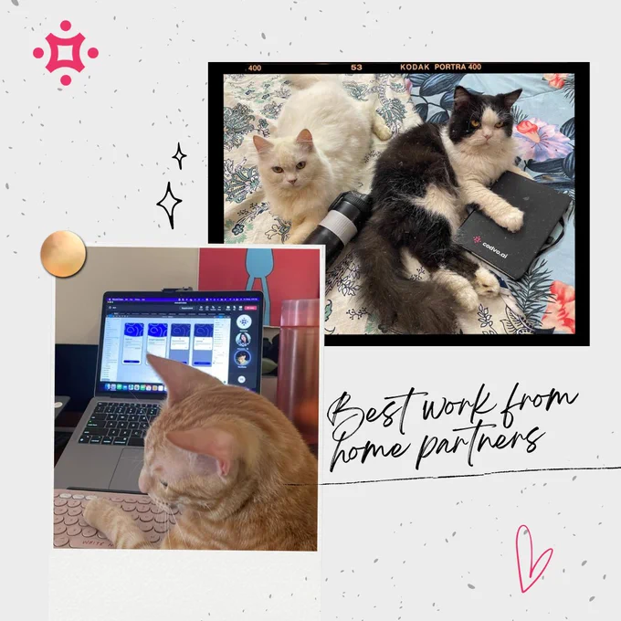 Work from home at Codvo.ai be like..