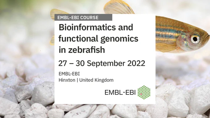 An image of a zebrafish is overlaid with the text 'Bioinformatics and functional genomics in zebrafish. 27-30 September 2022. EMBL-EBI Hinxton, United Kingdom. The EMBL-EBI logo is in the bottom right of the screen.