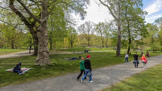 People walking in Central Park